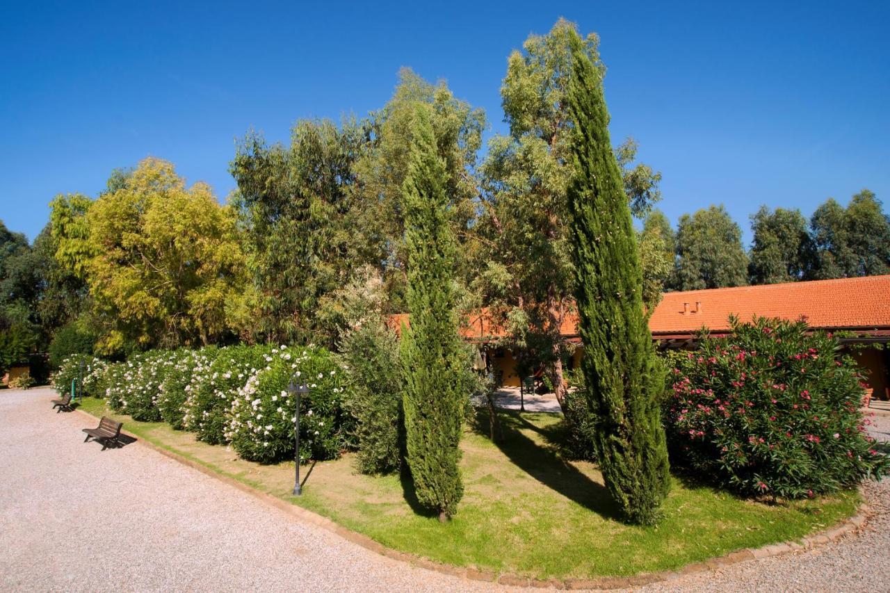 Agriturismo Le Pescine Vada Exterior photo